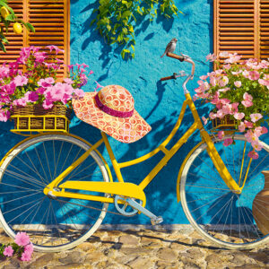 Bicicleta Limon CherryPazzy 1630721
