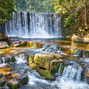 Cascada del Bosque CherryPazzy 1650149