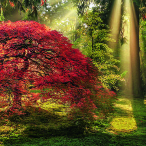 Guiding Light Heye 29855