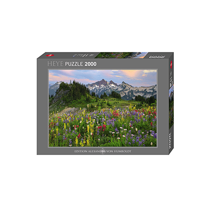 Tatoosh Mountains