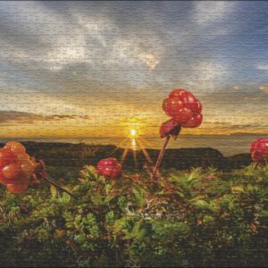 Cloudbeeries Heye 30016