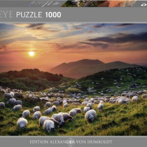 Puzle de 2000 piezas: Orchestra
