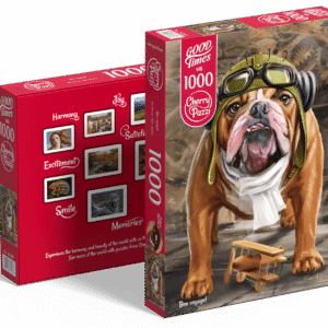 ﾡBuen Viaje! (1000pz)