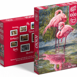 Bingo Flamenco CherryPazzy 1630431
