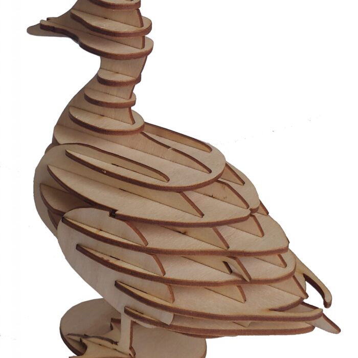 5513 Pato 3