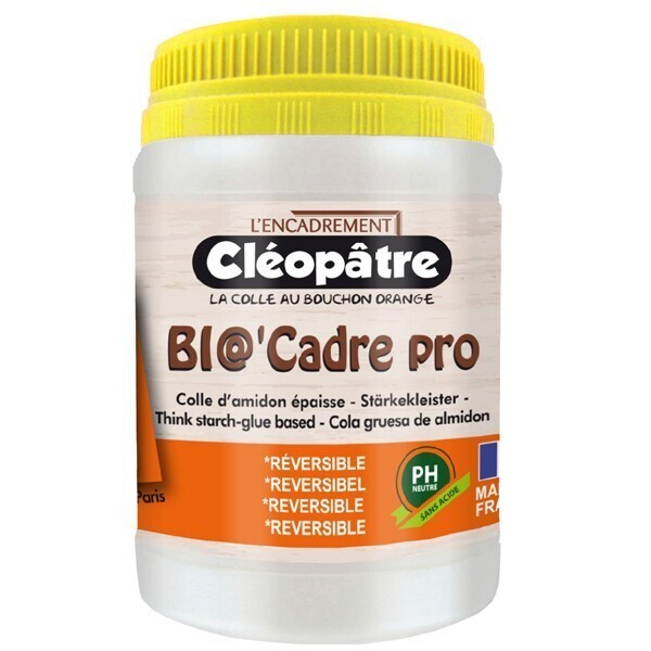 Cola para enmarcar Bio'Cadre Pro 250 gr