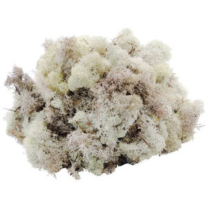 Musgo natural blanco 100gr