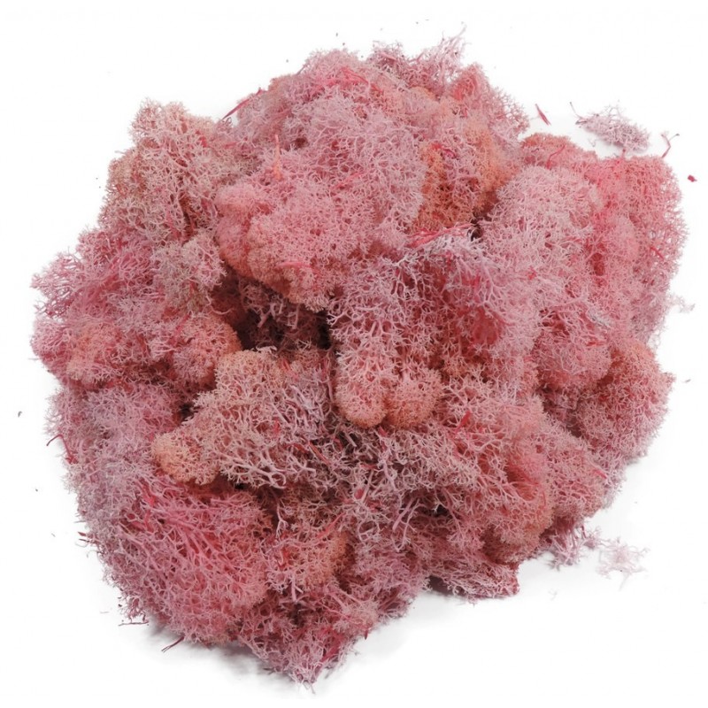 Musgo Rosa 100gr