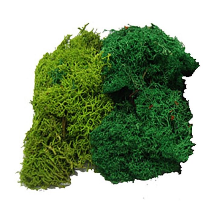 musgo-natural-color-verde-variado-50-grms