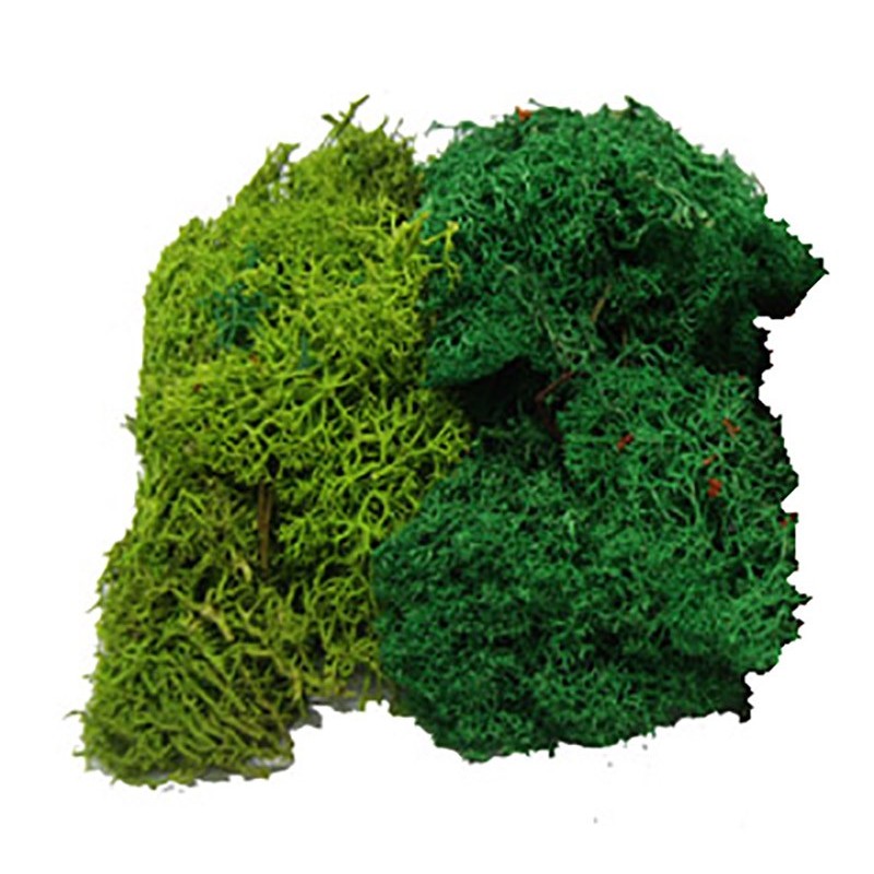 MUSGO NATURAL COLOR VERDE VARIADO 50 gr