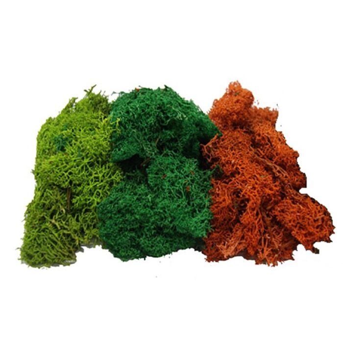 musgo-natural-color-verde-variado-rojizo-50-grms