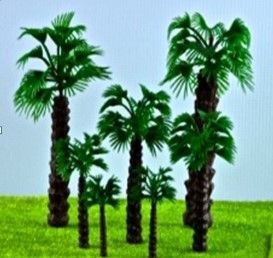 Palmeras 60/80/100/120/150/170 mm . 12 Ud. surtidas