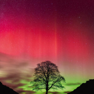 Sycamore Gap, Power of Nature (Standard 1000 pz) Heye 30065