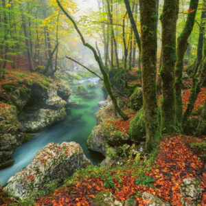 Arroyo Pequeño, Magic Forests (Standard 1000 pz) Heye 30091